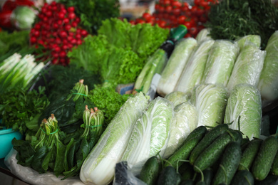 Fresh ripe vegetables and herbs on counter at wholesale market