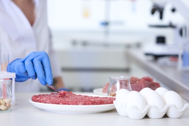 Scientist inspecting forcemeat at table in laboratory, closeup. Food quality control