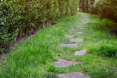 View of stone pathway and green lawn in park