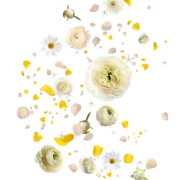 Beautiful flowers and petals flying on white background