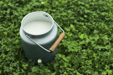 Can with fresh milk on green grass outdoors, space for text