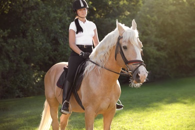 Young woman in equestrian suit riding horse outdoors on sunny day. Beautiful pet