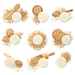 Set with natural soy milk and beans on white background, top view