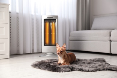 Chihuahua dog lying on faux fur near electric heater in living room