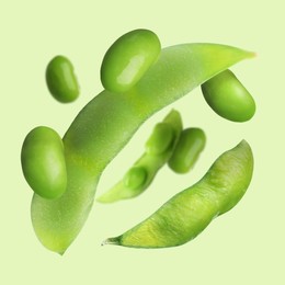 Image of Delicious cooked soy beans and pods falling on light green background. Edamame