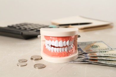 Educational dental typodont model and money on light grey table. Expensive treatment