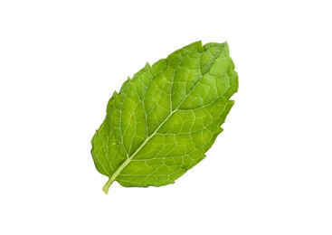 Photo of Aromatic green mint leaf isolated on white. Fresh herb