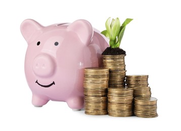 Stacks of coins with flower and piggy bank isolated on white. Investment concept