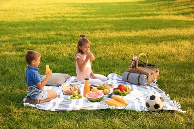 Happy children having picnic in park on sunny day