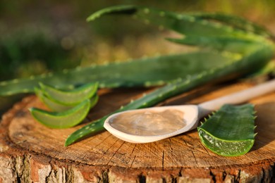 Green aloe vera leaves and spoon of gel on stump outdoors, closeup