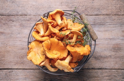 Fresh wild chanterelle mushrooms in metal basket on wooden table, top view