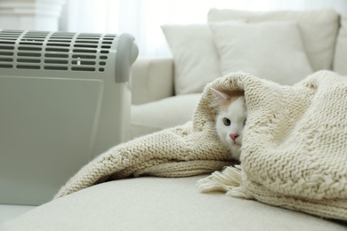 Adorable cat under plaid near modern electric heater indoors