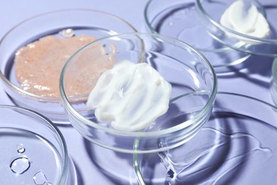 Many petri dishes with samples on lilac background, closeup