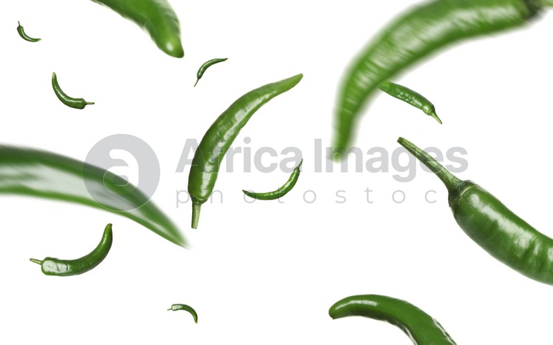 Image of Green chili peppers falling on white background 