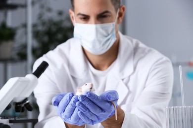 Scientist with rat in chemical laboratory, focus on rodent. Animal testing