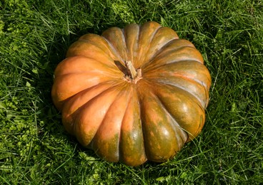 Ripe pumpkin on green grass, above view. Autumn harvest