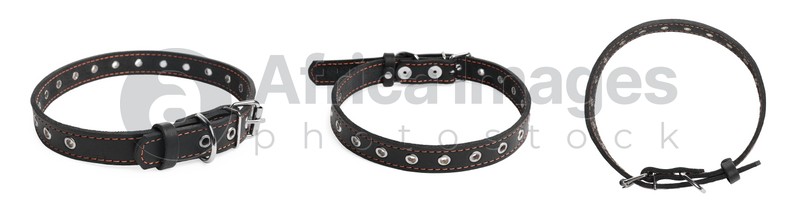 Set with black leather dog collars on white background. Banner design