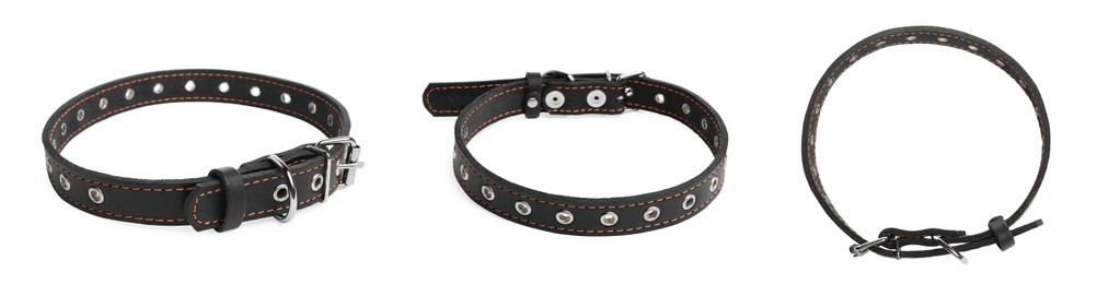 Set with black leather dog collars on white background. Banner design