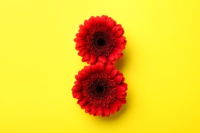 8 March greeting card design with red gerberas on yellow background, flat lay. International Women's day