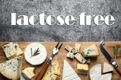 Tasty lactose free cheeses on grey table, flat lay
