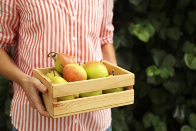 Woman holding wooden crate of fresh ripe pears outdoors, closeup
