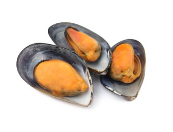 Delicious cooked mussels in shells on white background