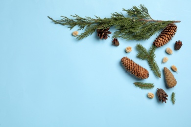 Flat lay composition with pinecones on light blue background, space for text