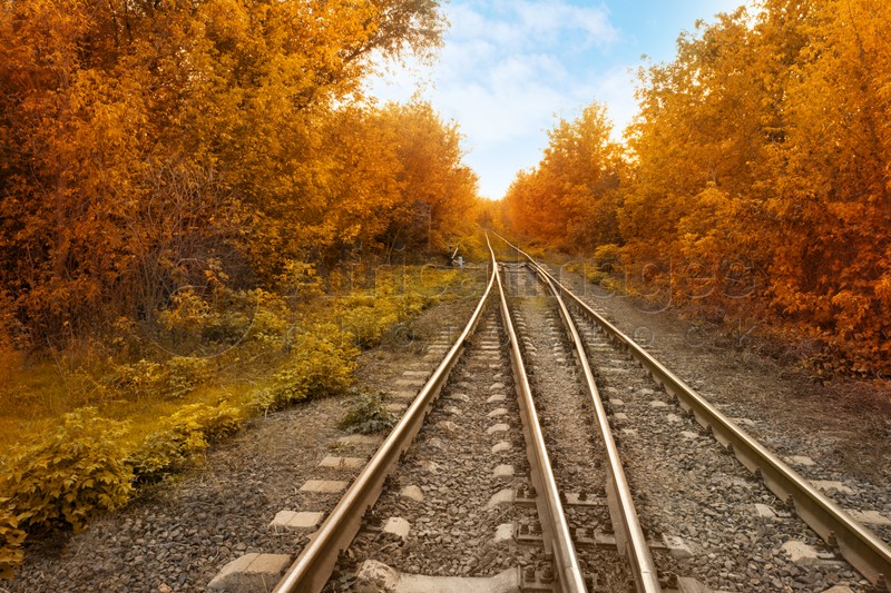 Beautiful view of autumn forest crossed by railway