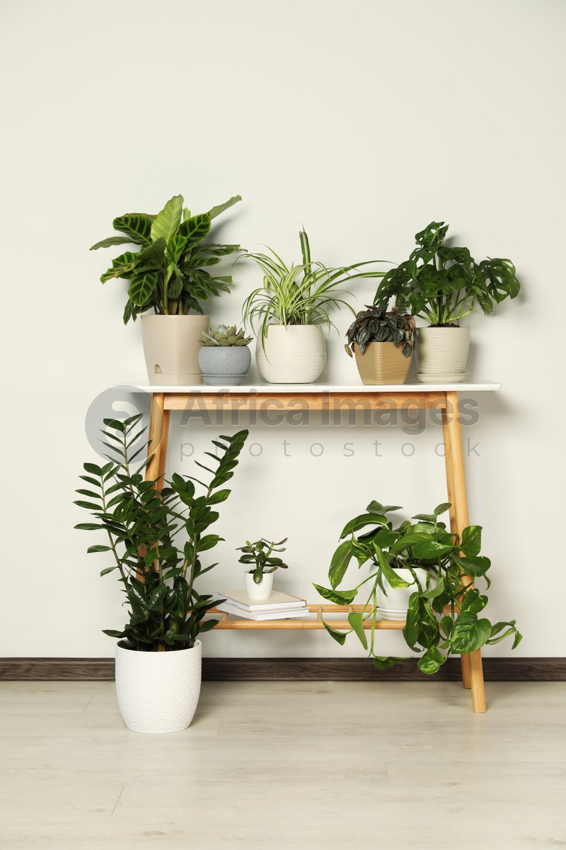 Photo of Wooden table and beautiful houseplants near light wall