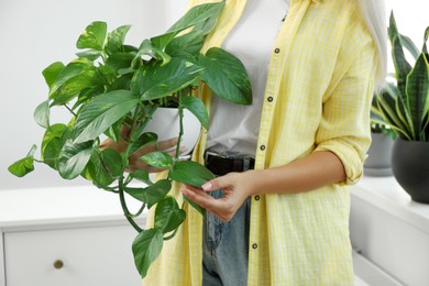 Photo of Woman holding potted houseplant at home, closeup