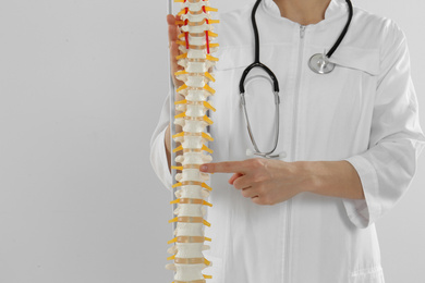 Female orthopedist with human spine model against light background, closeup
