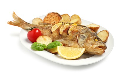 Tasty homemade roasted perch with garnish on white background. River fish