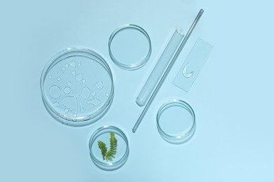 Flat lay composition with fern and laboratory glassware on light blue background