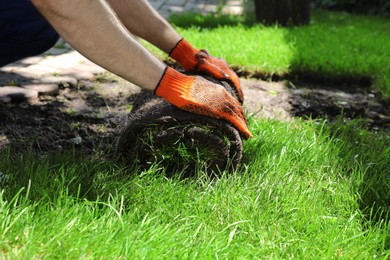 Photo of Gardener laying grass sod on backyard, closeup