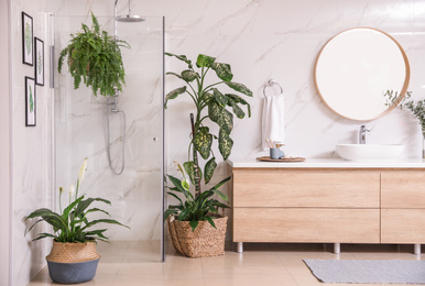 Green plants in elegant modern bathroom. Interior design