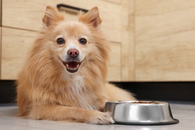 Cute Pomeranian spitz dog near feeding bowl on floor indoors