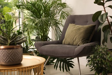 Lounge area interior with comfortable armchair and houseplants