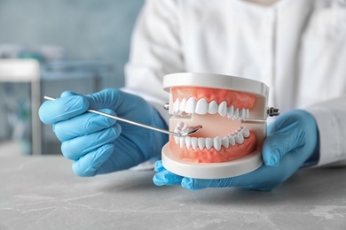 Dentist holding educational model of oral cavity at table in clinic, closeup