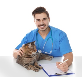 Veterinarian doc with cat on white background