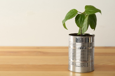 Hibiscus plant in tin can on wooden table, closeup. Space for text