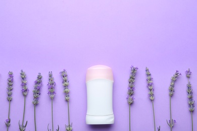 Female deodorant and lavender flowers on lilac background, flat lay