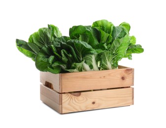 Fresh green pak choy cabbages in wooden crate on white background