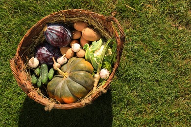 Different fresh ripe vegetables in wicker basket on grass, above view. Space for text