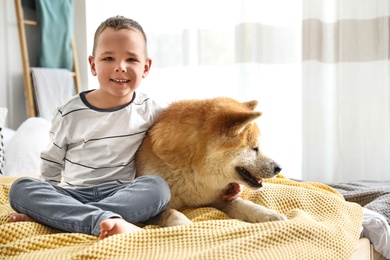 Happy boy with Akita Inu dog on bed. Little friends