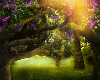 Fantasy world. Trees with blossoming magic flowers in enchanted forest on sunny day