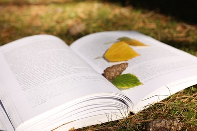 Open book, cone and leaves on grass outdoors, closeup