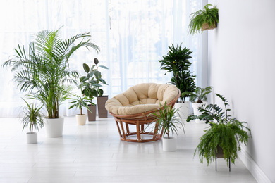 Stylish room interior with beautiful plants. Home design idea
