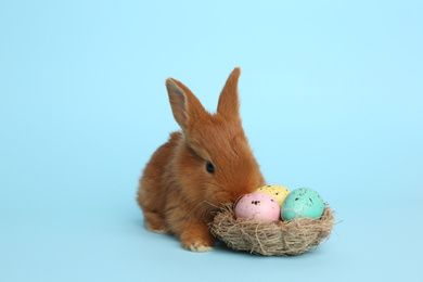 Adorable fluffy bunny and decorative nest with Easter eggs on light blue background