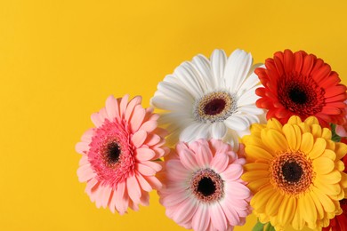 Bouquet of beautiful colorful gerbera flowers on yellow background