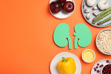 Paper cutout of kidneys and different healthy products on orange background, flat lay. Space for text